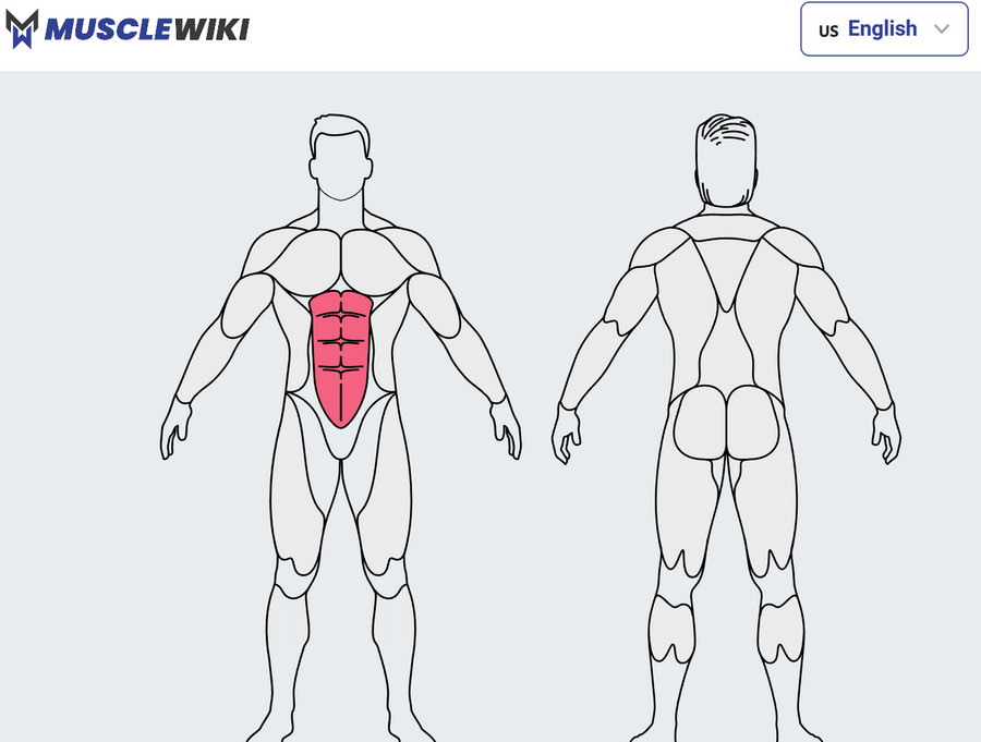 MuscleWiki：专为健身人士打造的网站，人体肌肉可视化锻炼视频